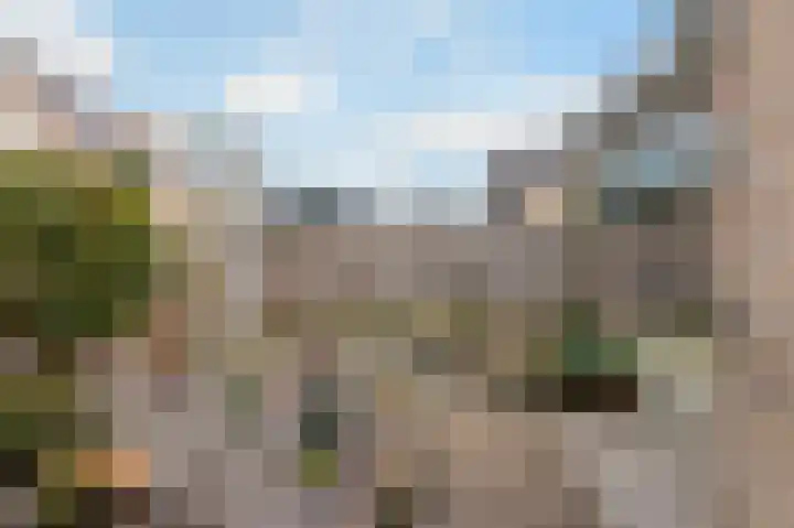De Tapuit 8 Vriezenveen thumbnail 19