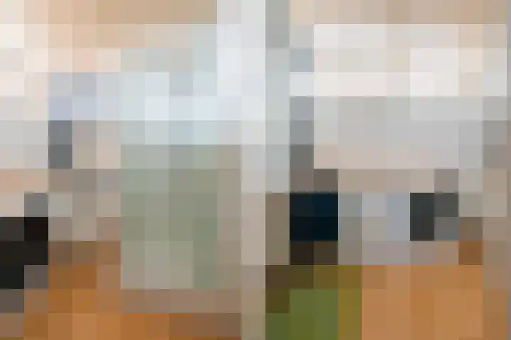 De Tapuit 8 Vriezenveen thumbnail 25