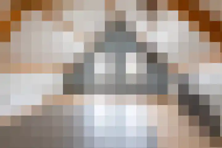 De Tapuit 8 Vriezenveen thumbnail 37