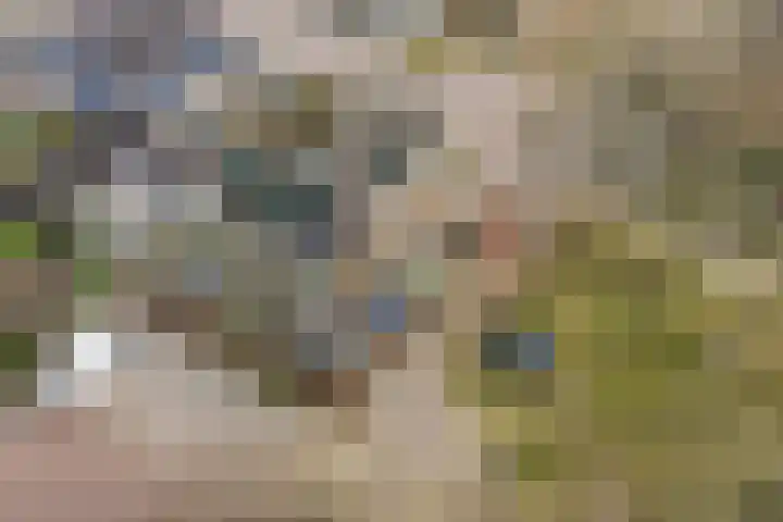 De Tapuit 8 Vriezenveen thumbnail 39
