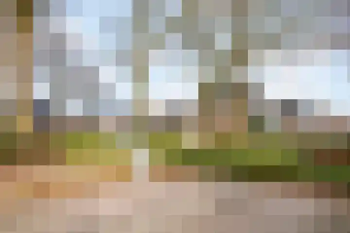 De Tapuit 8 Vriezenveen thumbnail 41