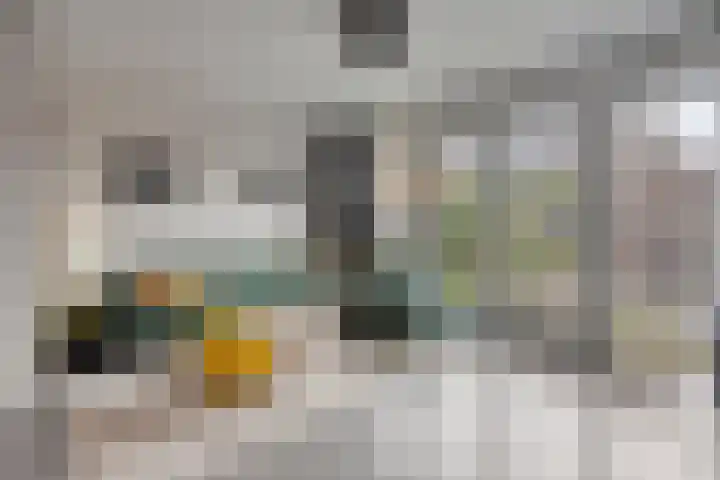 De Tapuit 8 Vriezenveen thumbnail 42