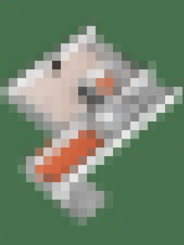 De Tapuit 8 Vriezenveen thumbnail 43