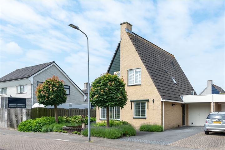 De Tarp 37 in Akersloot Foto