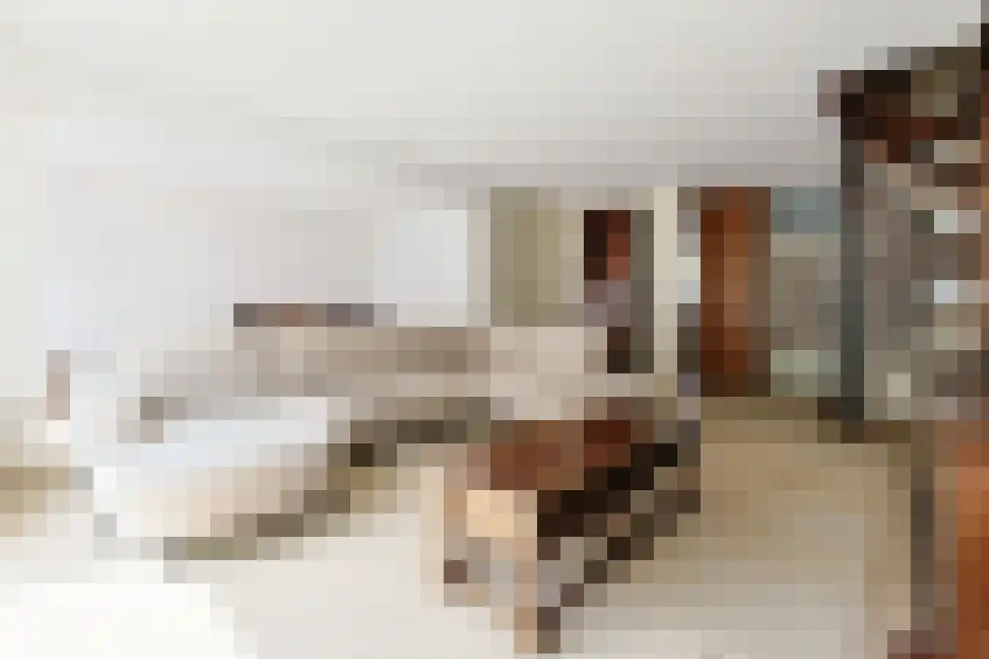 De Tas 16 Koudekerk aan den Rijn thumbnail 12
