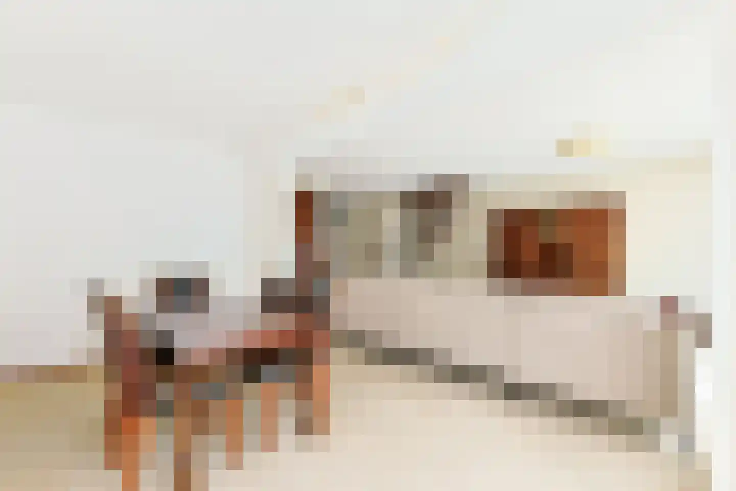 De Tas 16 Koudekerk aan den Rijn thumbnail 18