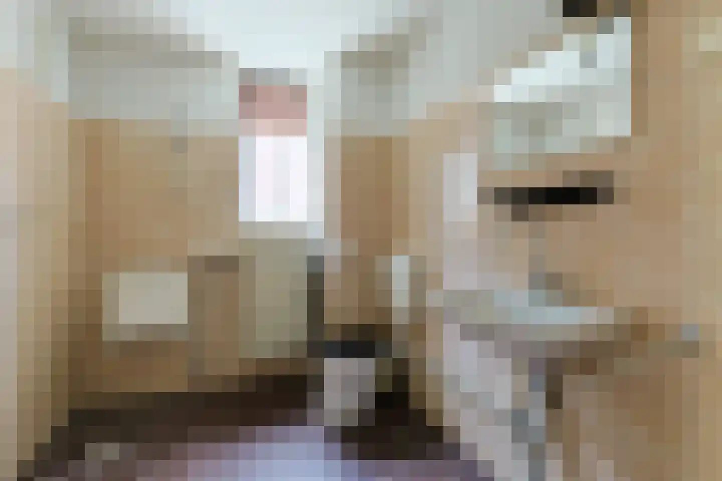 De Tas 16 Koudekerk aan den Rijn thumbnail 43