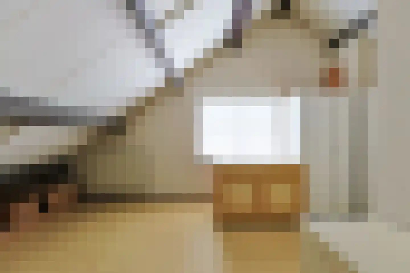 De Tas 16 Koudekerk aan den Rijn thumbnail 50