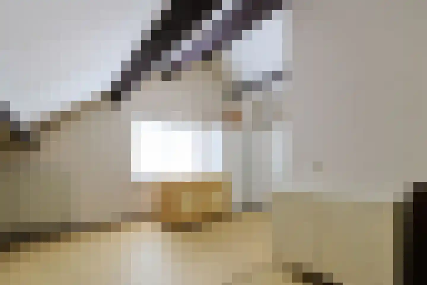 De Tas 16 Koudekerk aan den Rijn thumbnail 51