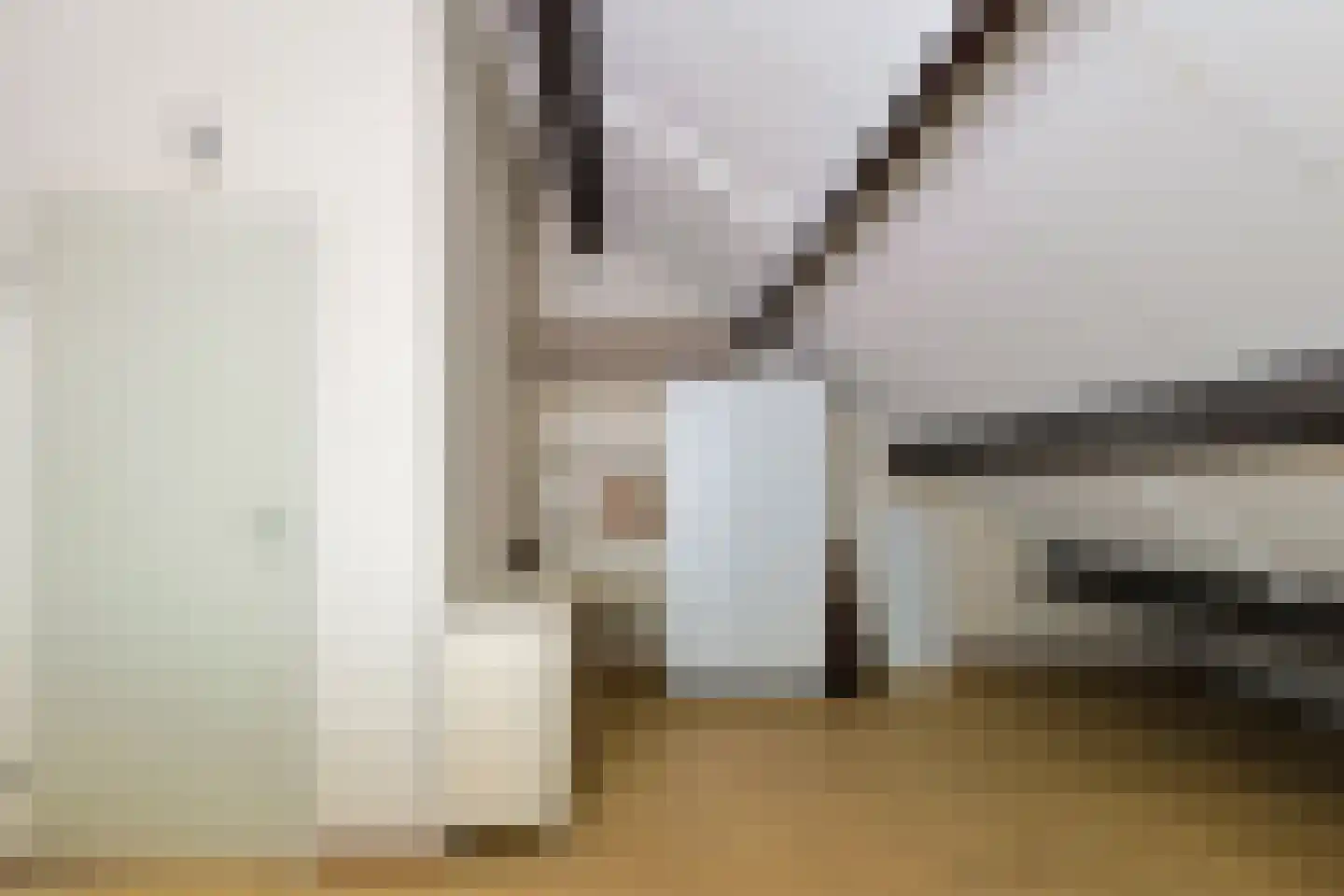 De Tas 16 Koudekerk aan den Rijn thumbnail 52