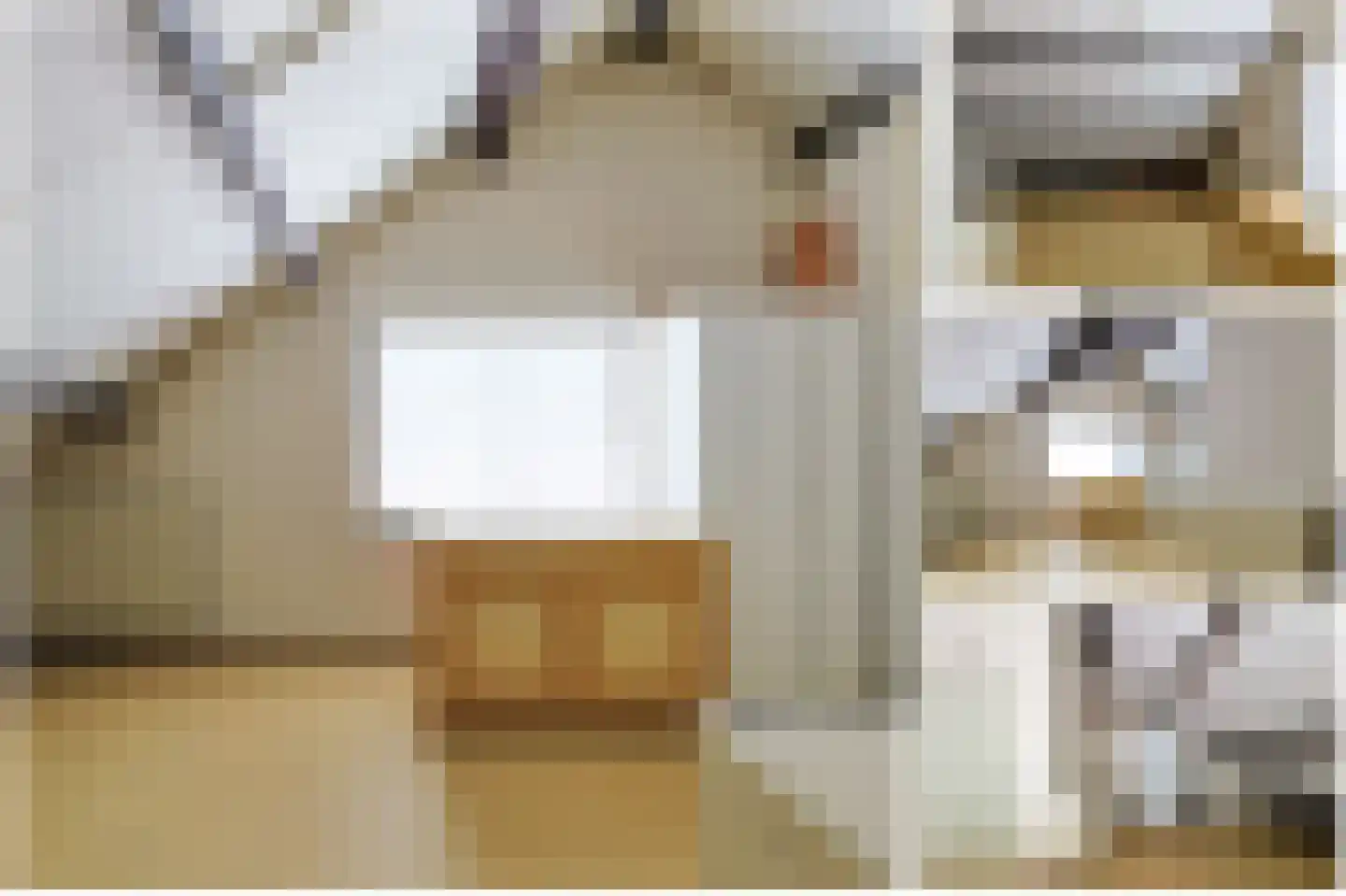 De Tas 16 Koudekerk aan den Rijn thumbnail 53