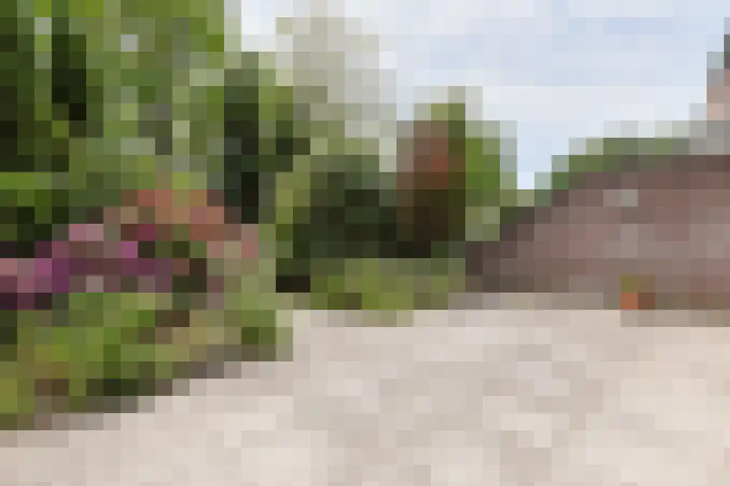 De Tas 16 Koudekerk aan den Rijn thumbnail 61