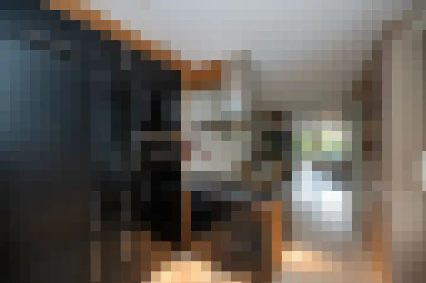 De Tas 41 Koudekerk aan den Rijn thumbnail 26