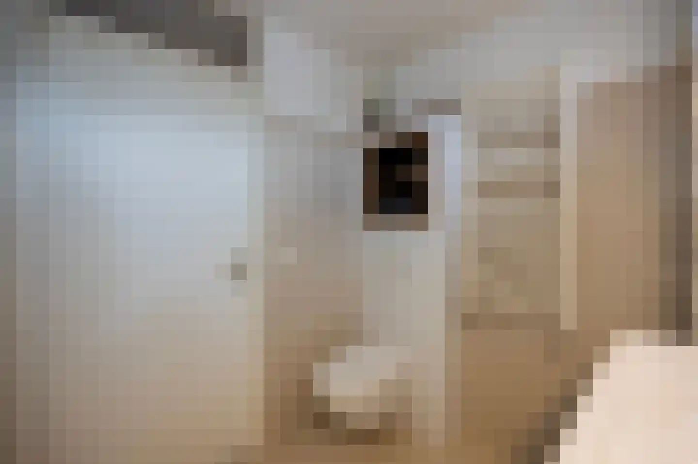 De Tas 41 Koudekerk aan den Rijn thumbnail 34