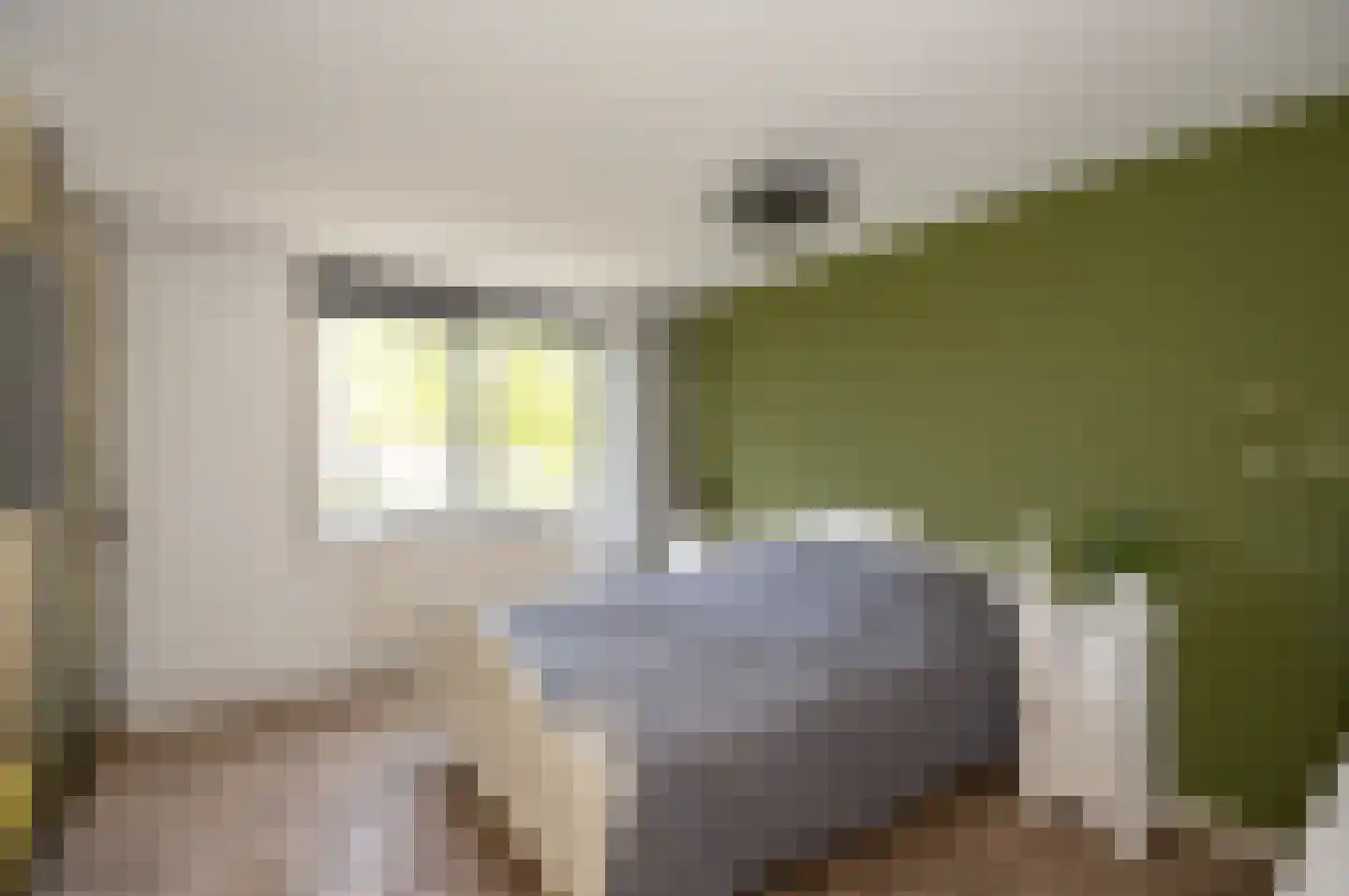 De Tas 41 Koudekerk aan den Rijn thumbnail 35