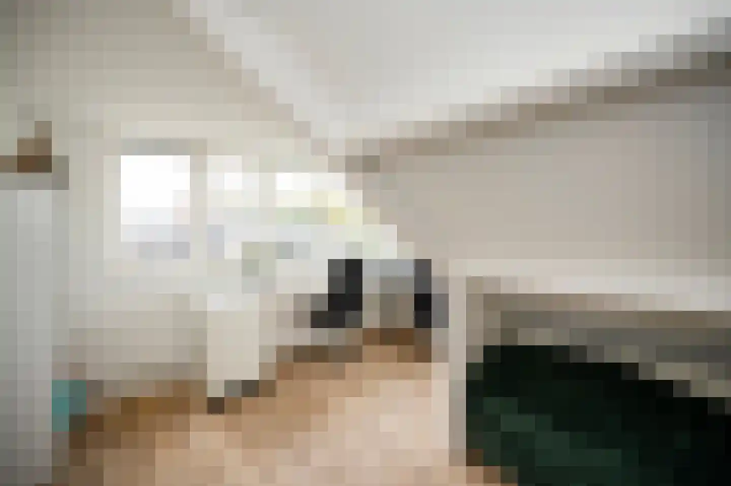 De Tas 41 Koudekerk aan den Rijn thumbnail 37