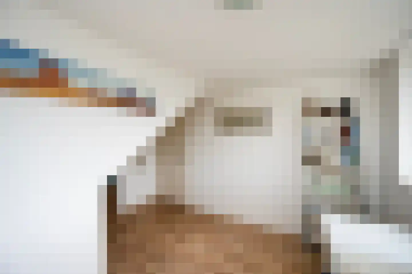 De Tas 41 Koudekerk aan den Rijn thumbnail 39