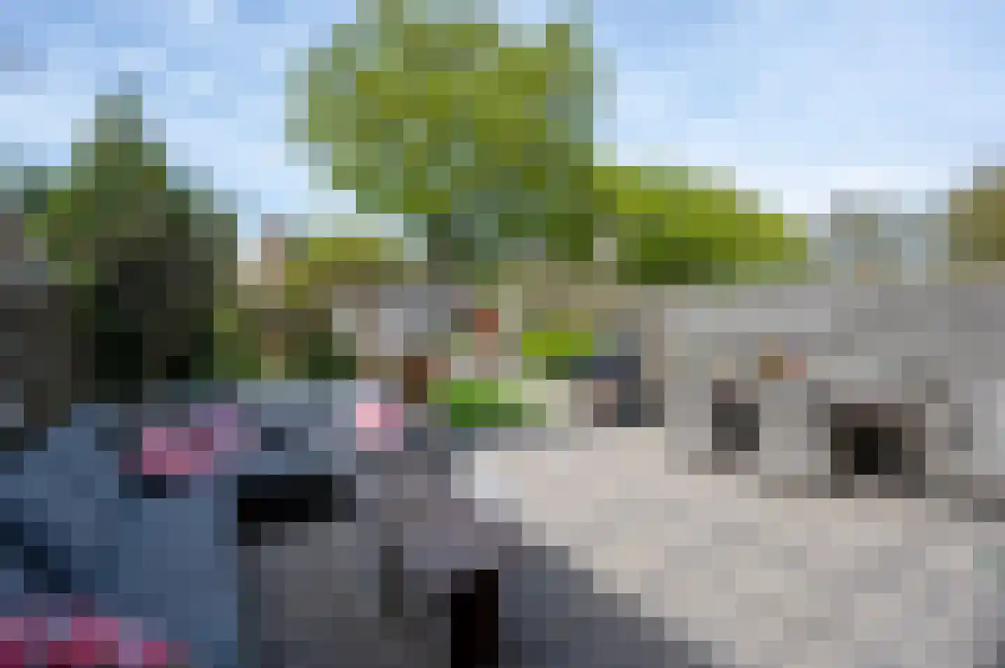 De Tas 41 Koudekerk aan den Rijn thumbnail 7
