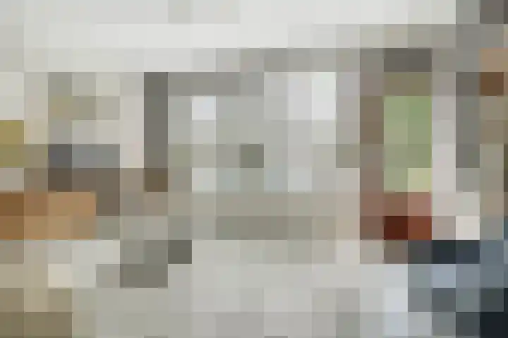De Tas 51 Koudekerk aan den Rijn thumbnail 10