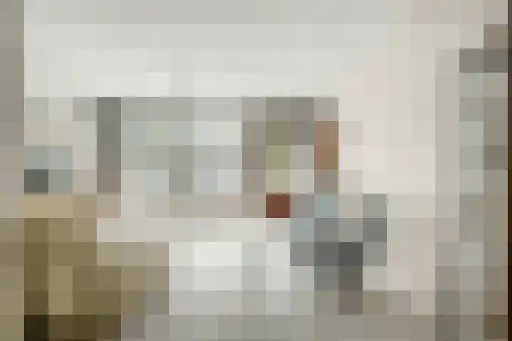 De Tas 51 Koudekerk aan den Rijn thumbnail 11