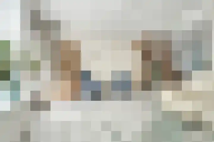 De Tas 51 Koudekerk aan den Rijn thumbnail 13