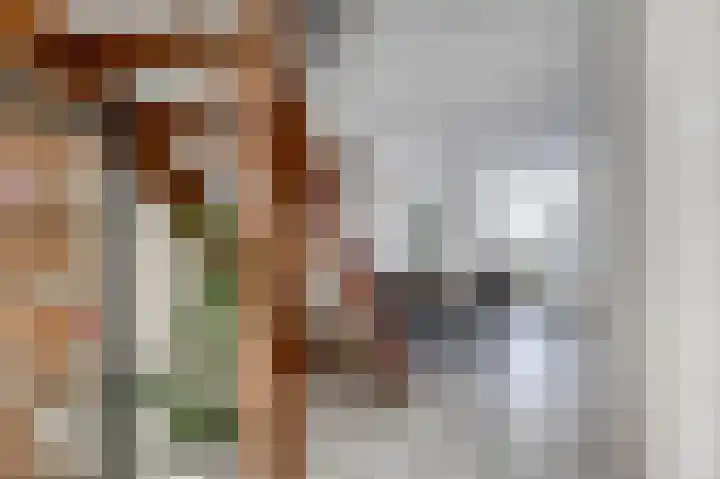De Tas 51 Koudekerk aan den Rijn thumbnail 15