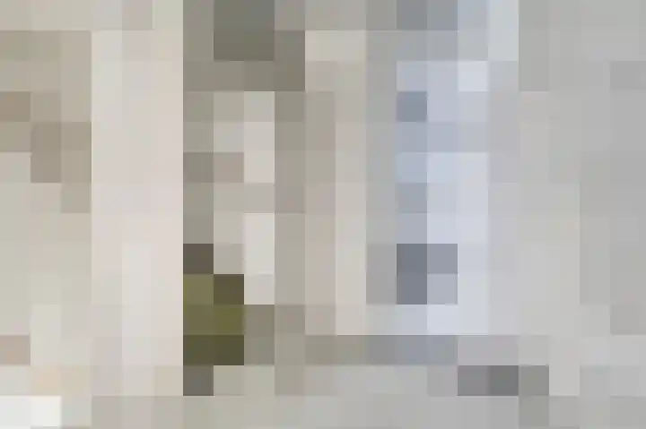De Tas 51 Koudekerk aan den Rijn thumbnail 17