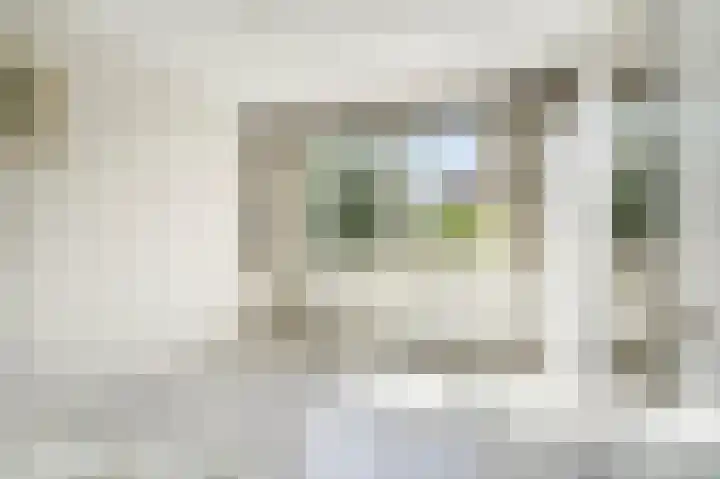 De Tas 51 Koudekerk aan den Rijn thumbnail 20