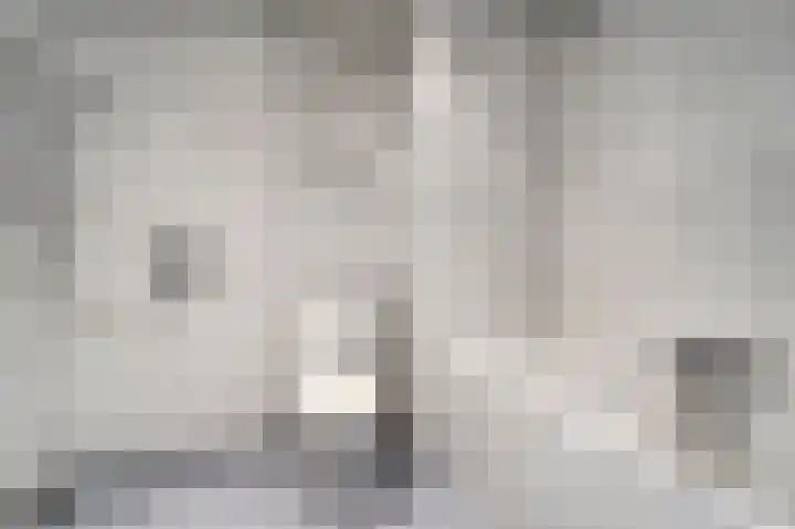 De Tas 51 Koudekerk aan den Rijn thumbnail 25