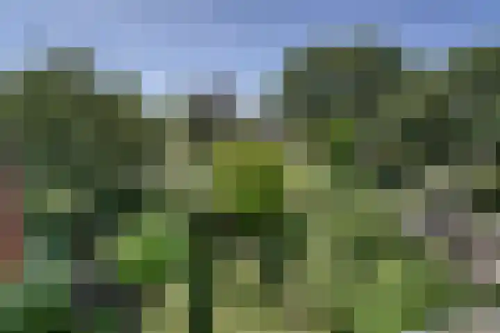 De Tas 51 Koudekerk aan den Rijn thumbnail 31