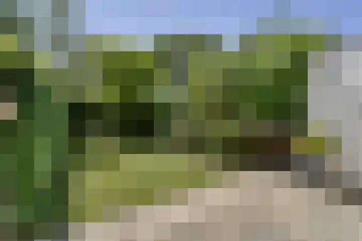 De Tas 51 Koudekerk aan den Rijn thumbnail 33