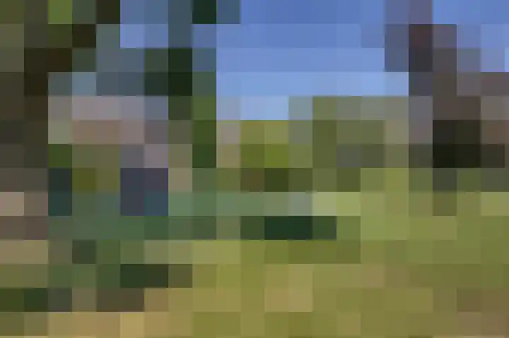 De Tas 51 Koudekerk aan den Rijn thumbnail 37