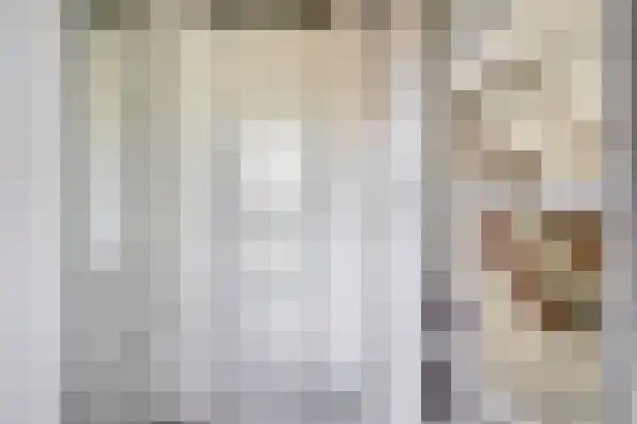 De Tas 51 Koudekerk aan den Rijn thumbnail 4