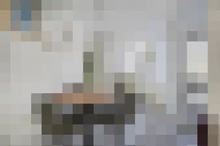 De Tas 51 Koudekerk aan den Rijn thumbnail 5