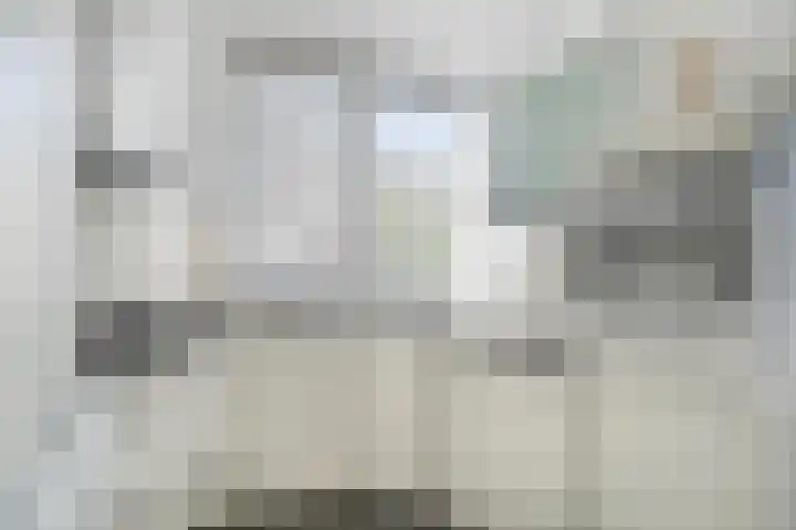 De Tas 51 Koudekerk aan den Rijn thumbnail 7
