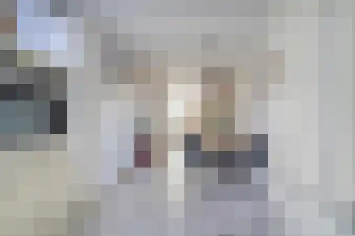 De Tas 51 Koudekerk aan den Rijn thumbnail 8
