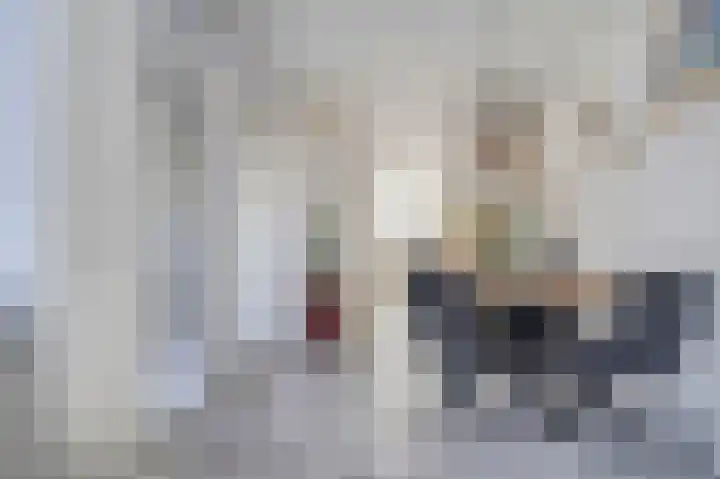 De Tas 51 Koudekerk aan den Rijn thumbnail 9