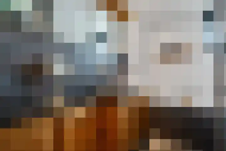 De teeme 14 Steenwijk thumbnail 16