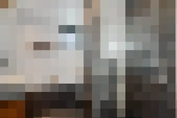 De teeme 14 Steenwijk thumbnail 17