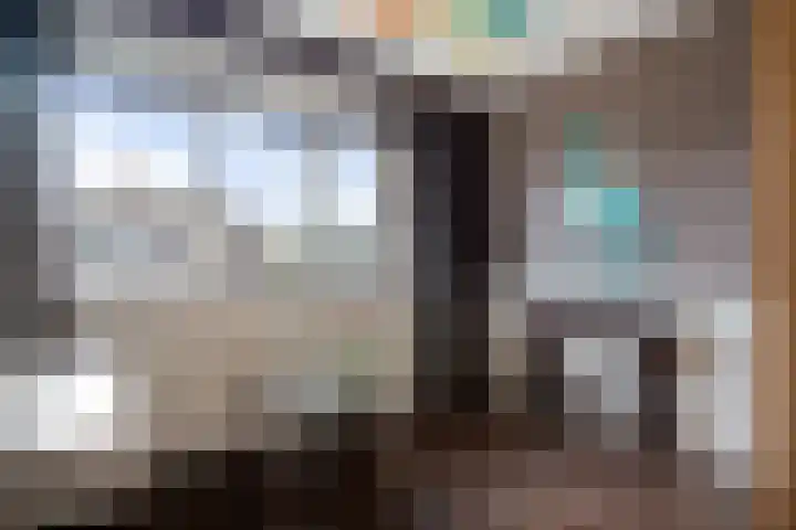 De teeme 14 Steenwijk thumbnail 23
