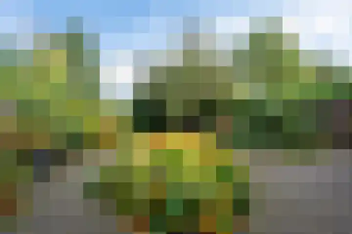 De teeme 14 Steenwijk thumbnail 29