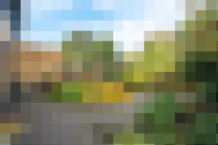 De teeme 14 Steenwijk thumbnail 30