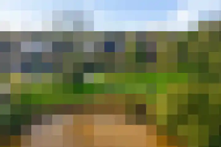 De teeme 14 Steenwijk thumbnail 31