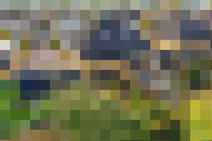 De teeme 14 Steenwijk thumbnail 32