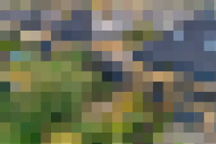 De teeme 14 Steenwijk thumbnail 33