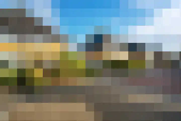 De teeme 14 Steenwijk thumbnail 34