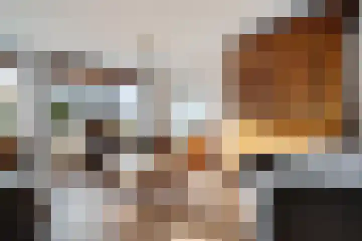 De teeme 14 Steenwijk thumbnail 4