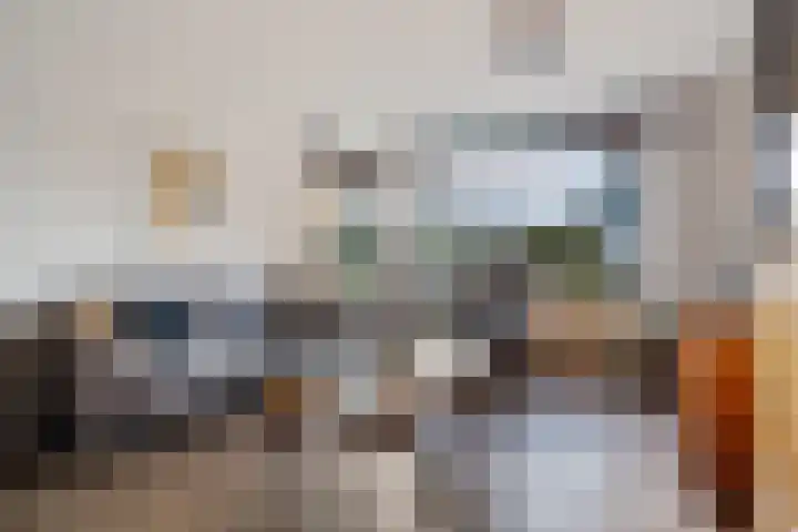 De teeme 14 Steenwijk thumbnail 5