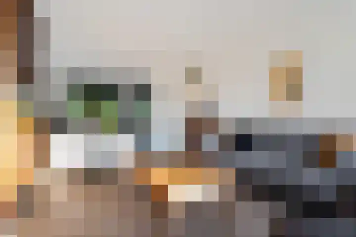 De teeme 14 Steenwijk thumbnail 6