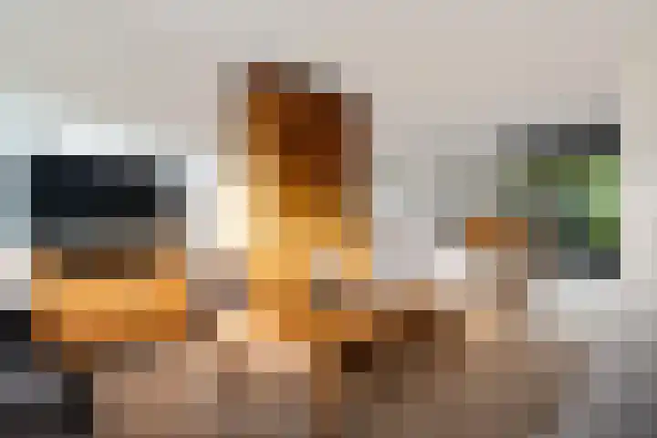 De teeme 14 Steenwijk thumbnail 7
